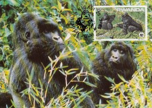 Rwanda 1985 Maxicard Sc #1209 15fr Mountain gorilla WWF