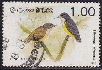 Sri Lanka 837 Legge’s Flowerpecker 1987