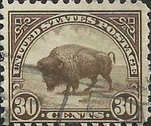 # 700 Used Brown American Buffalo