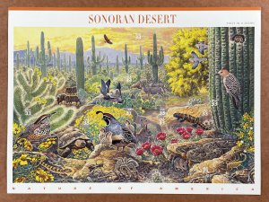 Scott 3293 SONORAN DESERT Pane of 10 US 33¢ Stamps MNH 1999