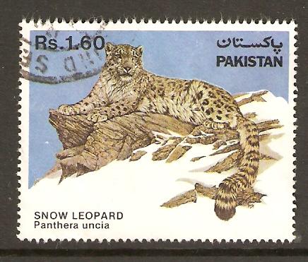 Pakistan  #604  used  (1984)  c.v. $5.00