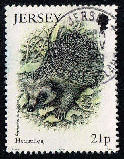 Jersey #917 Hedgehog; used (0.80)