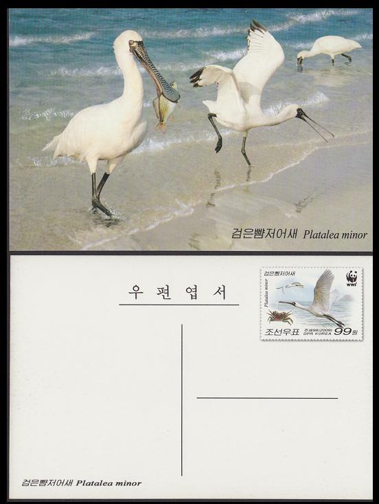 North Korea WWF Black-faced Spoonbill Pre-printed Postcard - Postal Stationery