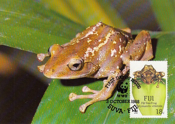 Fiji 1988 Maxicard Sc #591 18c Fiji Tree frog WWF