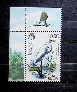 BELARUS Sc 651 NH ISSUE OF 2008 - BIRDS - (OJ25)