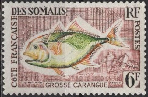 Somali Coast 289 (mh) 6fr large flatfish (grosse carangue) (1958)