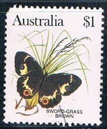 Australia butterfly (AP29R302)