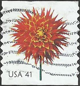 # 4167 USED DAHLIA