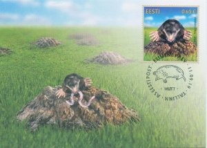 Estonia 2019 MAXI Fauna Stamps The Mole Mammals Wild Animals 1v Set