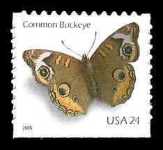 PCBstamps   US #4001 24c Butterfly, MNH, (12)