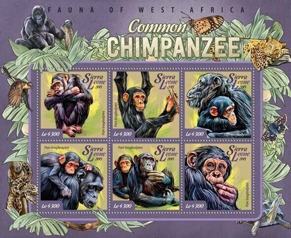 Sierra Leone MNH S/S Chimpanzees 2015 6 Stamps