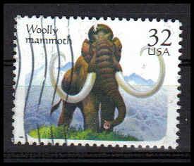 3078 Used Fine D31022