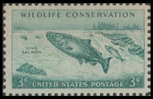 US 1079 Wildlife Conservation King Salmon 3c single MNH 1956