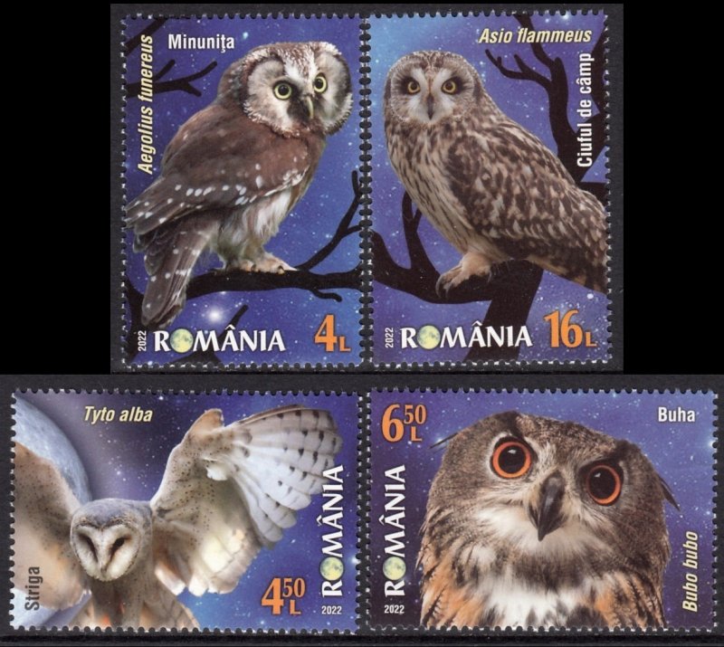 ROMANIA 2022 OWLS NOCTURNAL BIRDS OISEAUX VOGEL UCCELLO AVES