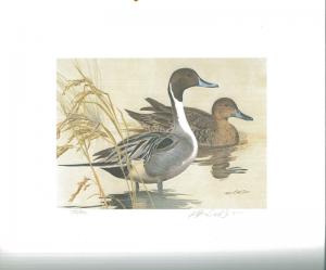 TEXAS #2 1982 STATE  DUCK STAMP PRINT PINTAILS by Ken Carlson