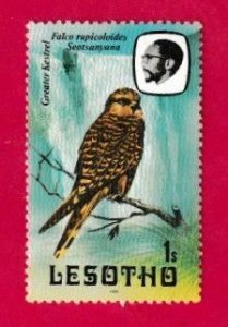 LESOTHO SCOTT#321 1981 1s GREATER KESTRAL BIRD - MNH