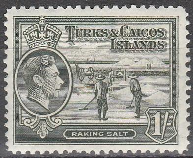 Turks & Caicos Islands #86A  MNH