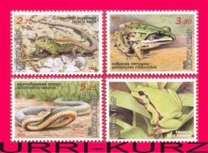 TRANSNISTRIA 2013 Nature Fauna Reptiles Amphibians Snake Lizard Frog 4v MNH