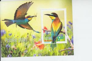 2014 Poland Birds SS (Scott 4127) MNH