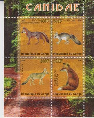 Congo 2007 Canidae Fox Wild Animals Mammal Fauna Nature M/S Stamps (1) MNH perf