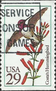 # 2644 USED COSTA'S HUMMINGBIRD