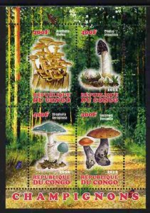 CONGO B. - 2012 - Mushrooms #1 - Perf 4v Sheet - MNH - Private Issue