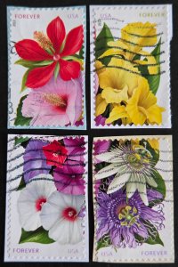 US 4750-4753 (2013 La Florida)