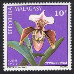 MALAGASY REPUBLIC SCOTT 495