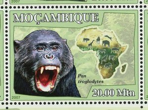 Apes Stamp Borneo Proboscis Cercopithecidae Cebidae S/S MNH #3056-3061