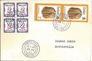 28700  - BELIZE - Postal History  REVENUE  STAMPS on COVER   HATTIEVILLE 1980