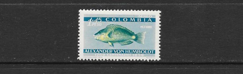 FISH - COLOMBIA #C359