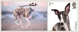 GB LS162i Dogs Whippet 2nd single MNH 2024