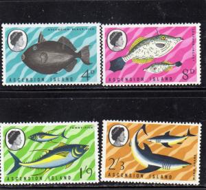 Ascension Fish MNH