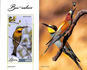 A9028 - LIBERIA - MISPERF ERROR Stamp Sheet - 2022 - Birds, Bee-eaters-