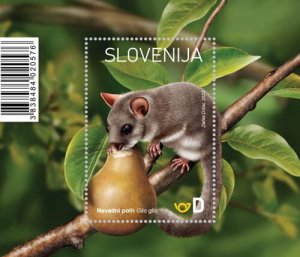 Slovenia 2023 MNH Stamps Souvenir Sheet Scott 1557 Animals Mouse