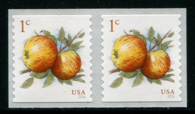 5037 US 1c Apples SA coil, MNH pr