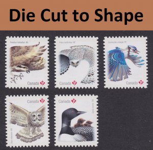 Canada 3018i-3022i Birds P DCTS set MNH 2017