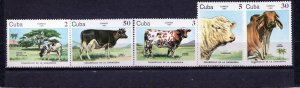 CUBA 1984 FARM ANIMALS/CATTLE SET OF 5 STAMPS MNH