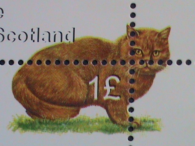 EASDALE-SCOTLAND STAMP -COLORFUL WORLD LOVELY CATS LARGE MNH FULL SHEET  VF