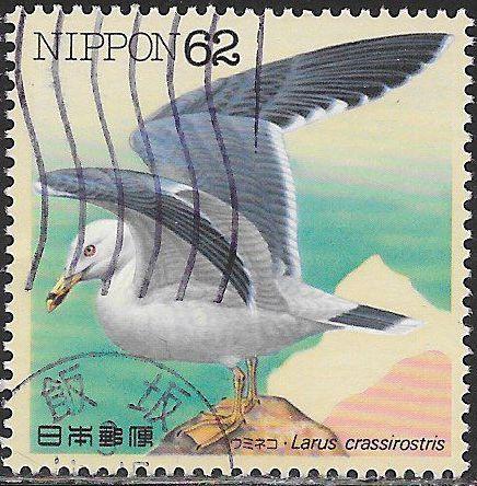 Japan 2105 Used - Waterbirds - ‭Larus crassirostris - Black-Tailed Gull