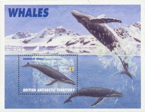 British Antarctic Territory Scott #'s 248 MNH