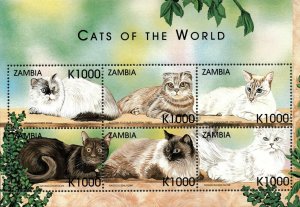 Zambia 1999 - Cats of The World #1 - Sheet of 6 - Scott 800 - MNH
