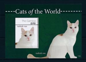 [31659] Gambia 2011 Animals Cats Turkish van MNH  Sheet