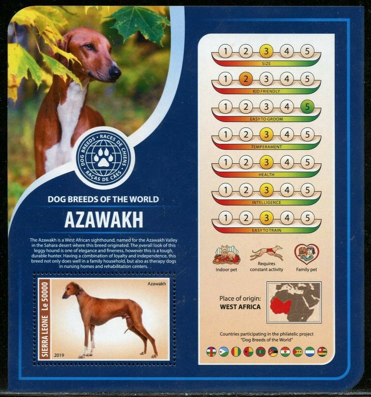 SIERRA  LEONE  2019 DOG BREEDS OF THE WORLD-- AZAWAKH  SOUVENIR SHEET MINT NH