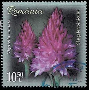 Romania 2020, Sc.#6454 used, Orchid: Nigritella miniata (syn. Gymnadenia rubra)