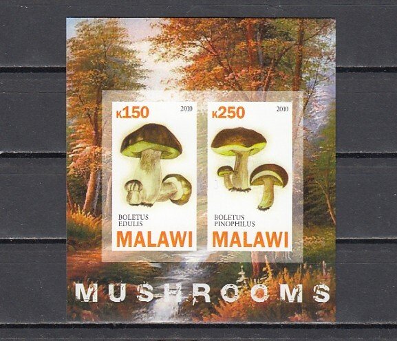 Malawi, 2010 Cinderella issue. Mushrooms on an IMPERF sheet of 2. ^