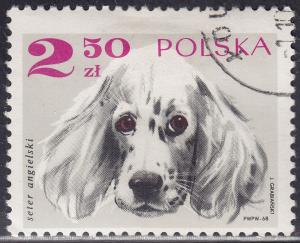 Poland 1640 English Setter 2.50zł 1969