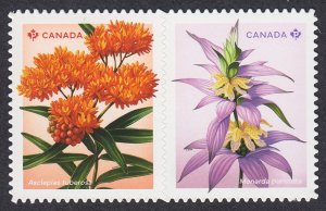 DIE CUT BK pair TYPE-2 = MILKWEED, BEEBALM = wildflowers MNH Canada 2024