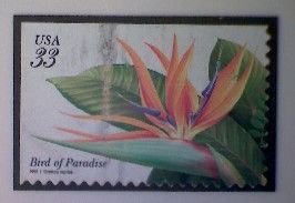 Stamp, United States, Scott #3319, used(o), 1999,  Bird of Paradise Flower, 33¢