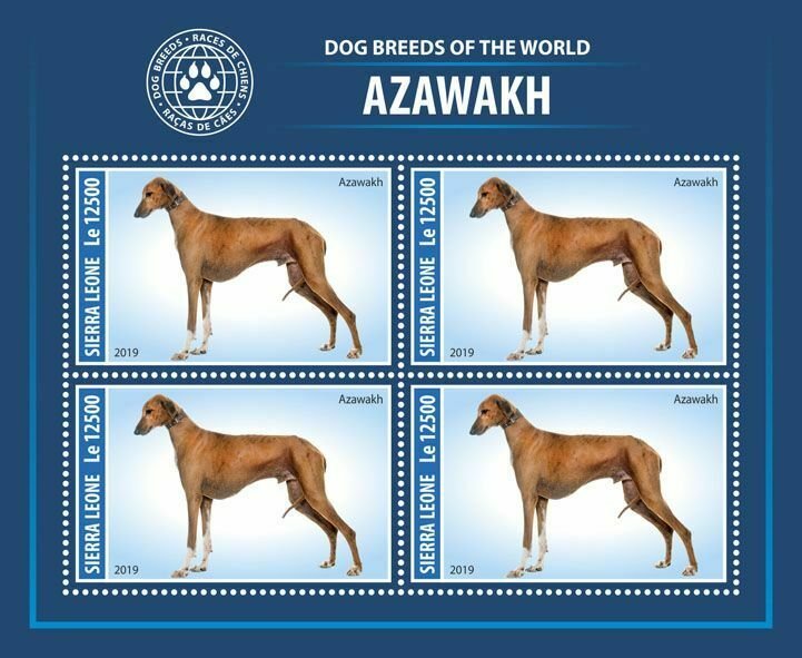 Z08 SRL190805a SIERRA LEONE 2019 Dogs MNH ** Postfrisch